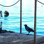 Seafront Jadri *